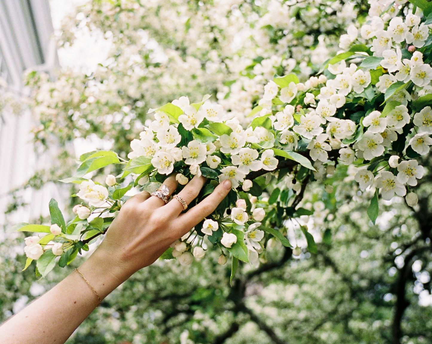 Helium Eternity Ring - Endless Summer