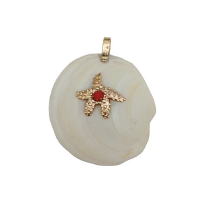White Clam Shell with 14K Gold Starfish and Red Cabochon