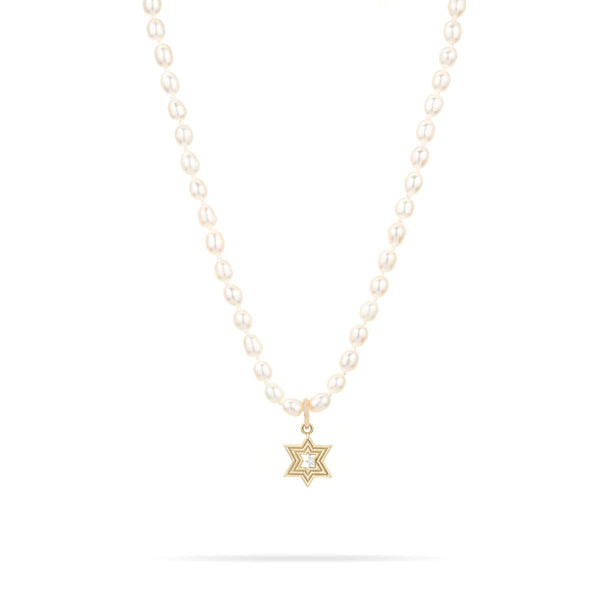 Groovy Star of David Hinged Charm