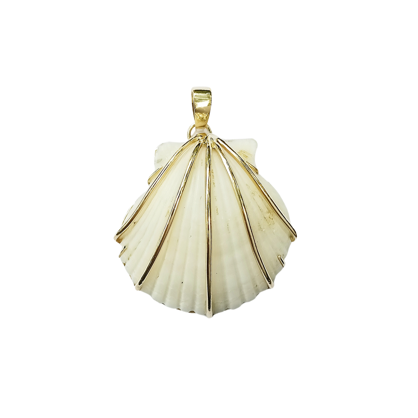 White Shell Two