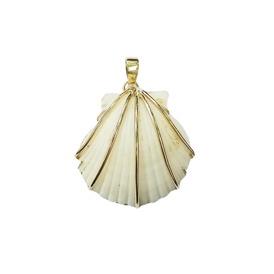 White Shell Two