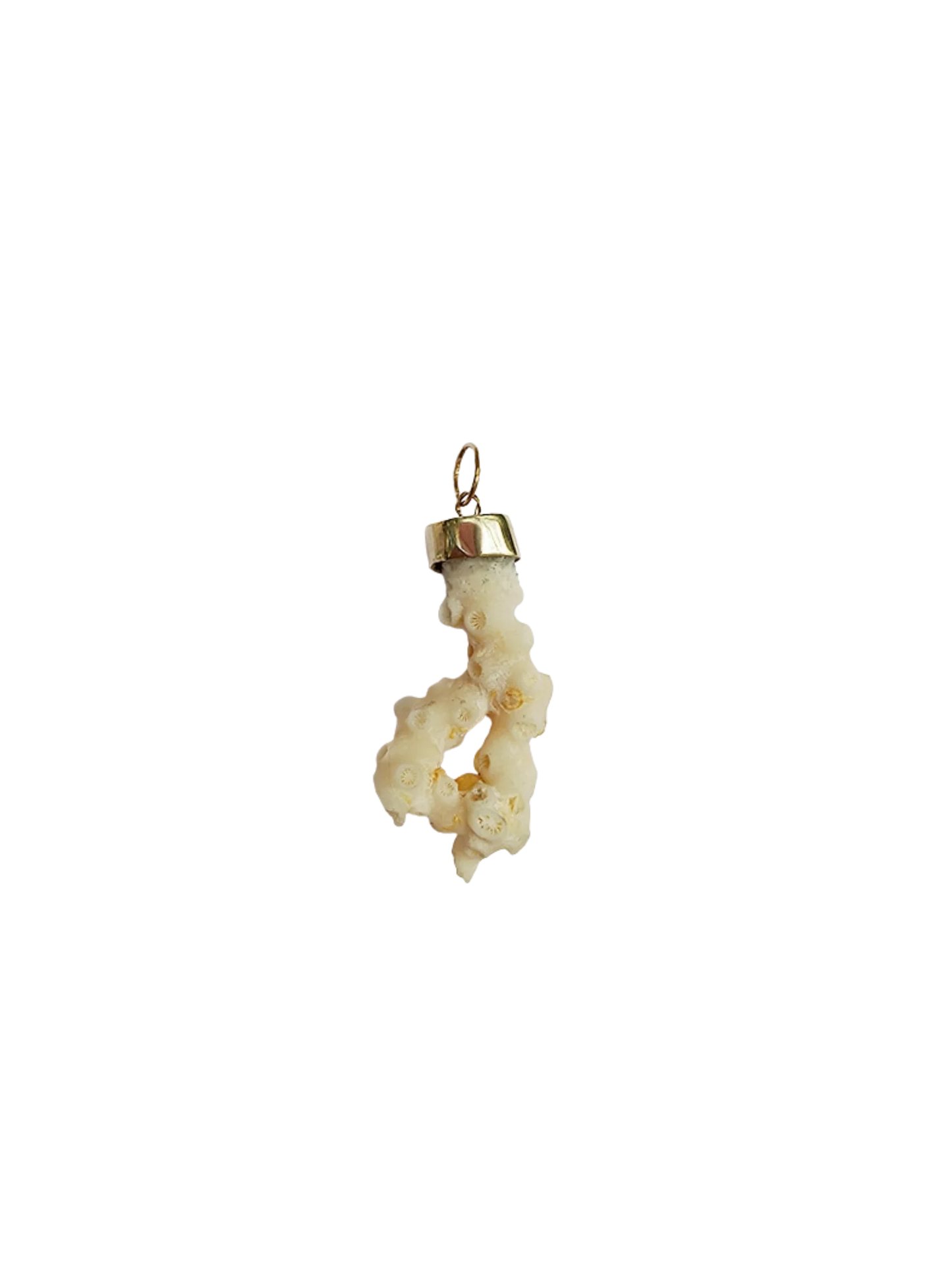 Coral Pendant