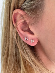 Horseshoe Studs
